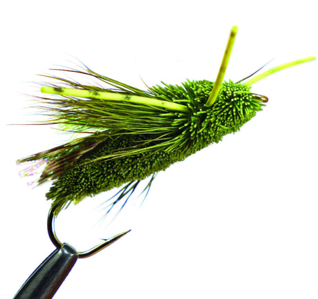 Cicada Olive Rubber Legs