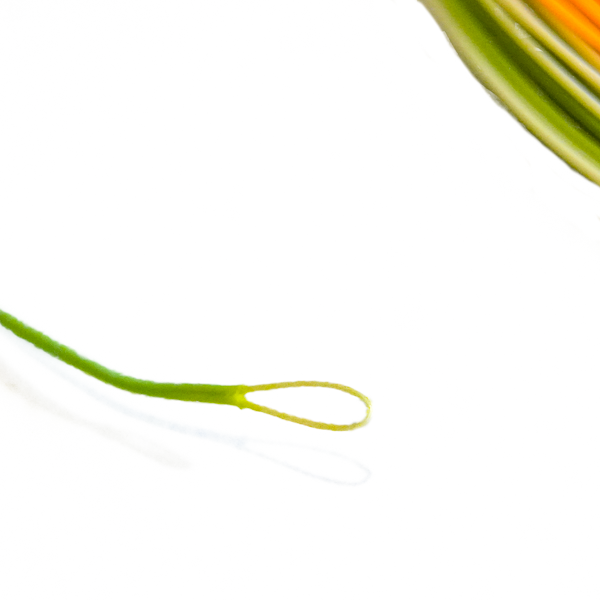 Competition Euro Nymphing Fly Line (0.55mm) with Micro Loops (Orange/Moss Green)