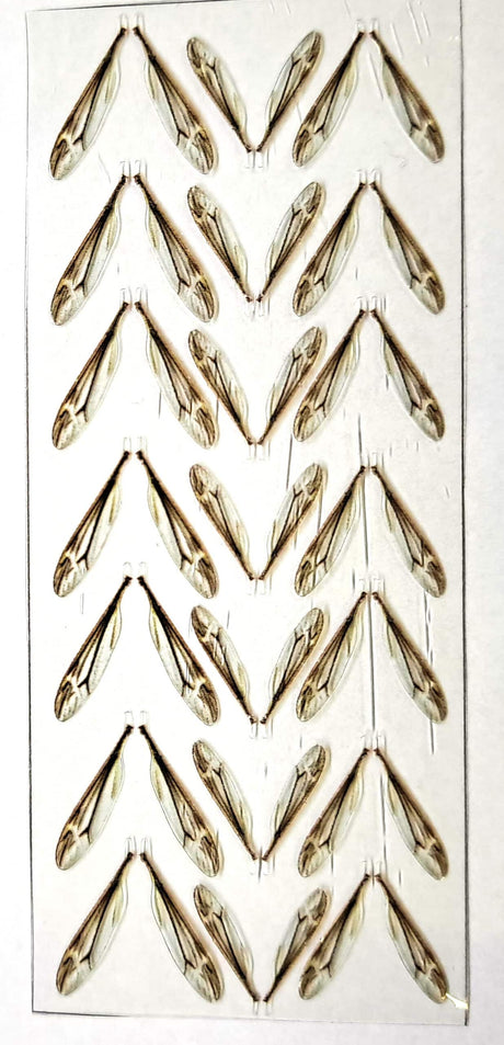 Crane Fly Wings