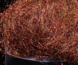 FT-DUB-SYBA-BASU-273087-BROWN