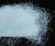 FT-DUB-SYBA-FISP-267505-ICPEA