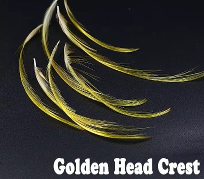 FT-FEA-ROYA-GOPHH-CREST-2