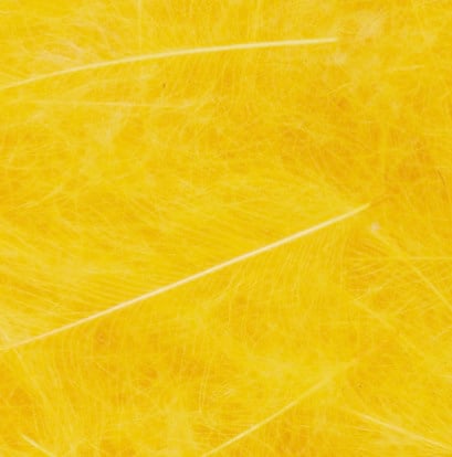 FT-FEA-VENI-CDC-ORYEL