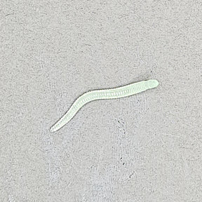 FT-LAB-EARTHWORM-GLOWW 1