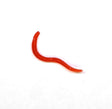 FT-LAB-EARTHWORM-RREDD 1