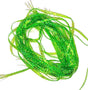 FT-LAB-ROYA-PBRB-GREEN