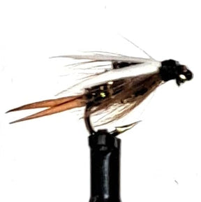 FW-NYMP-PRNBK-04-UW