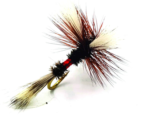 FW-ROYA-WHRDBK-06 Giant Royal Wulff