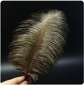 Feather Ostrich Black Coffee
