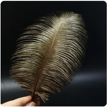 Feather Ostrich Black Coffee