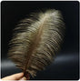 Feather Ostrich Black Coffee