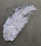 Feather Ostrich Gray