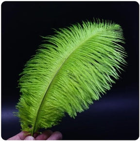 Feather Ostrich Olive Green (Insect Green)
