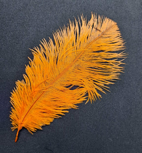 Feather Ostrich Orange