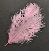 Feather Ostrich Pink