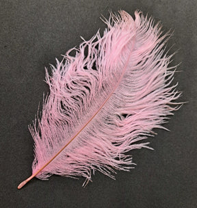 Feather Ostrich Pink