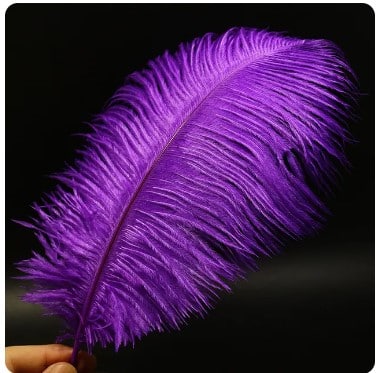 Feather Ostrich Purple