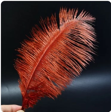 Feather Ostrich Red Ochre
