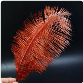 Feather Ostrich Red Ochre