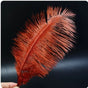 Feather Ostrich Red Ochre