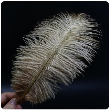 Feather Ostrich Tan