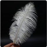 Feather Ostrich White