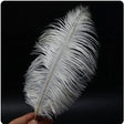Feather Ostrich White