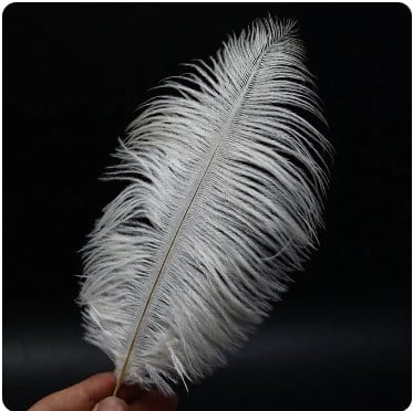 Feather Ostrich White