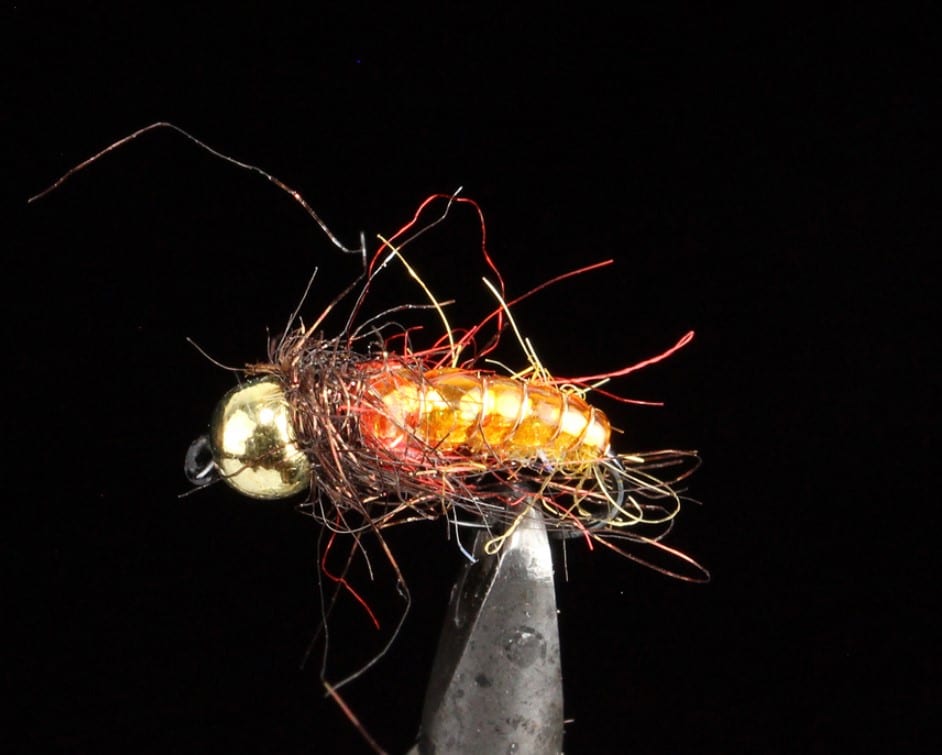 Fine Flashback Fly 1