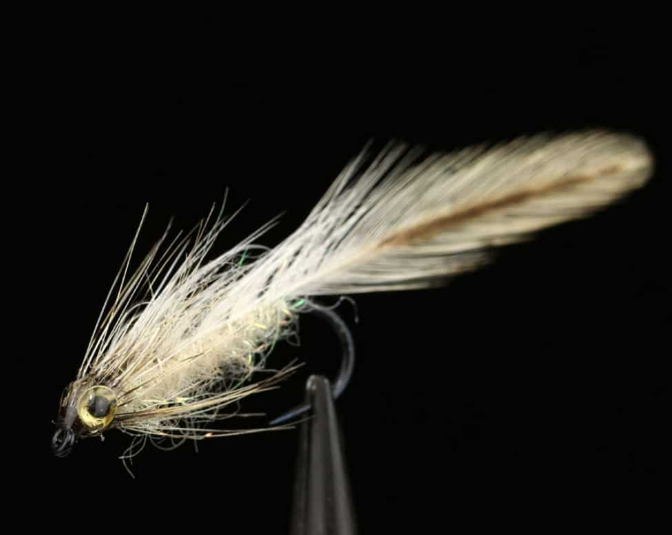 Flash Nymph Dubbing Fly 1