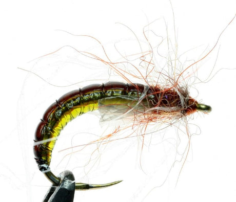 Fly 1 Stretch Glass 10mm