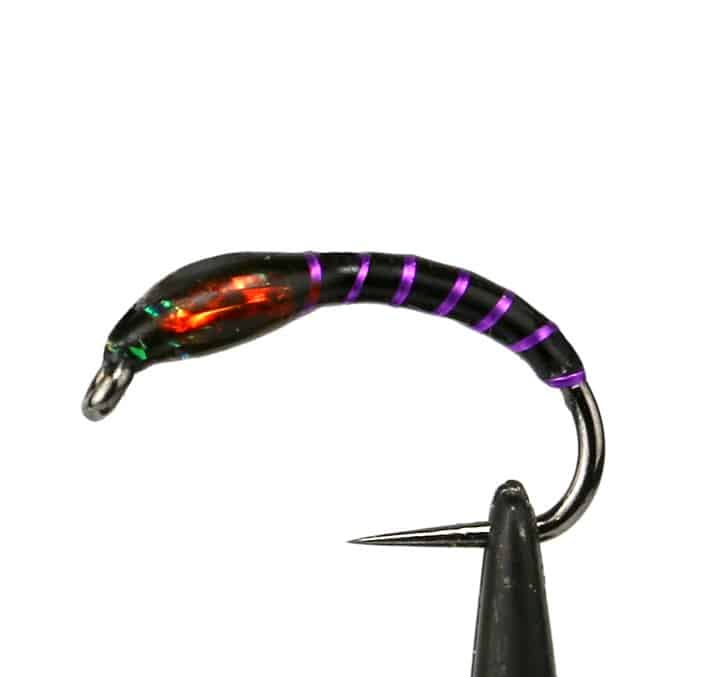 Fly 1