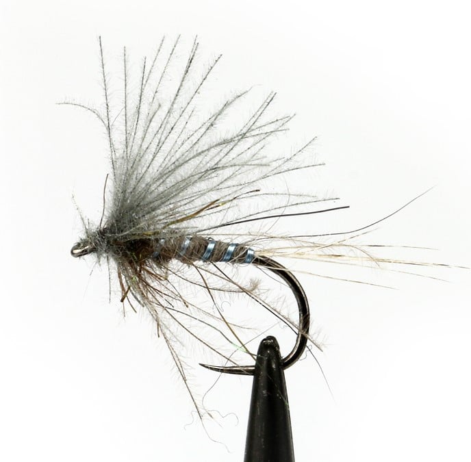 Fly 2