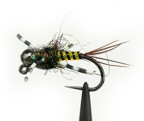 Fly 3