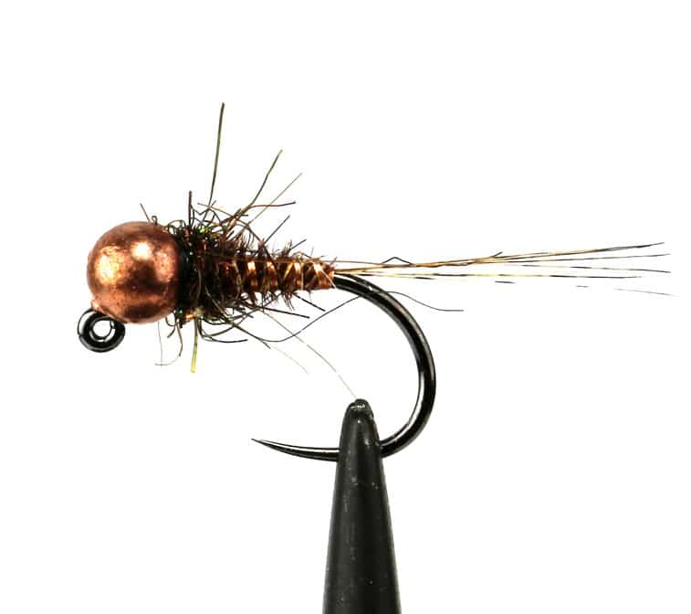 Fly 3