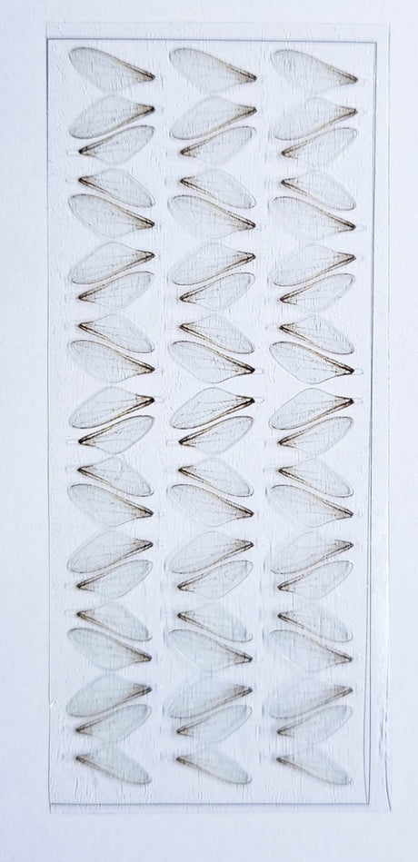 Fly Wings