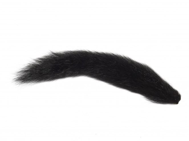 Fox Squirrel Black
