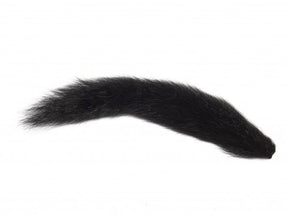 Fox Squirrel Black