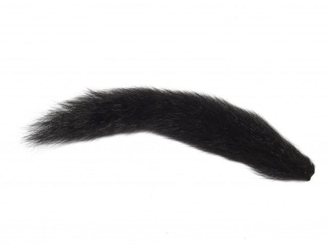Fox Squirrel Black