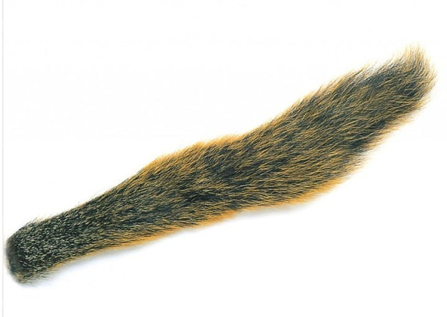 Fox Squirrel Natural