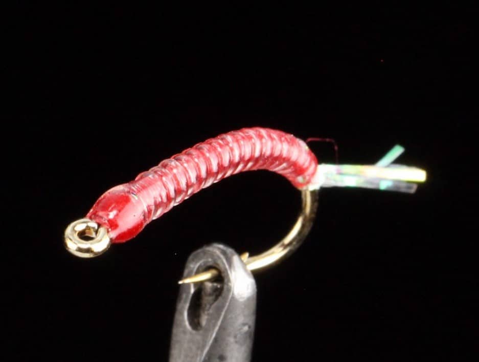 Glass Rib Fly 1