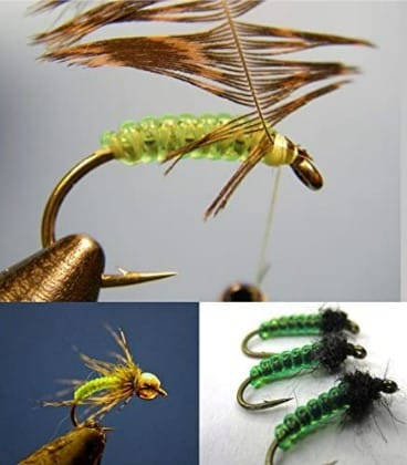Glass Rib Fly 2