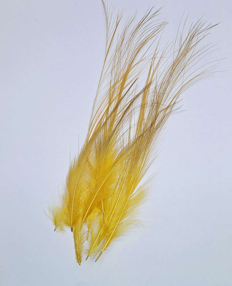 Gold Heron Egret Hackles