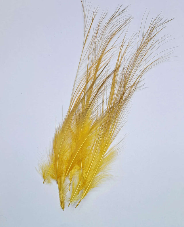 Gold Heron Egret Hackles