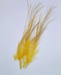 Gold Heron Egret Hackles