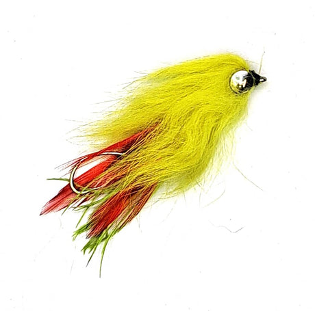 IN16WT