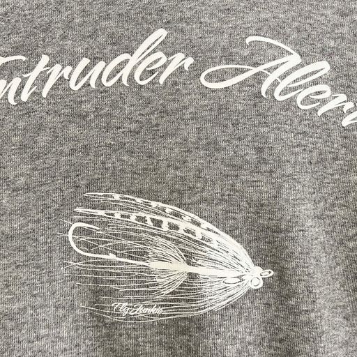 Intruder Alert Hoodie Gray 2