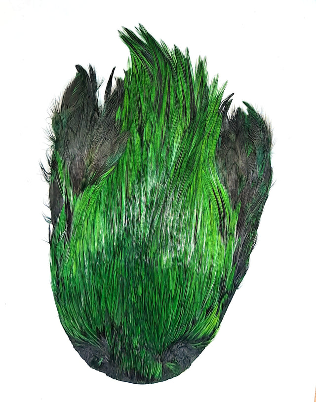 JN1043 Green Olive