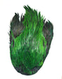 JN1043 Green Olive