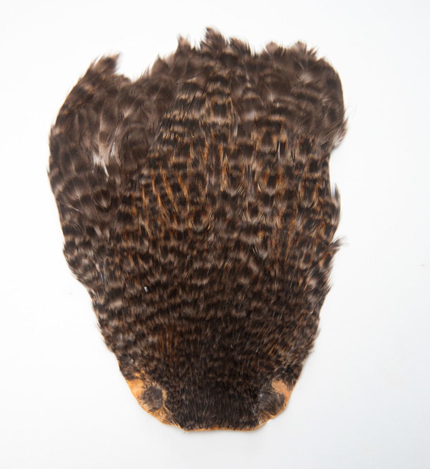 JN111